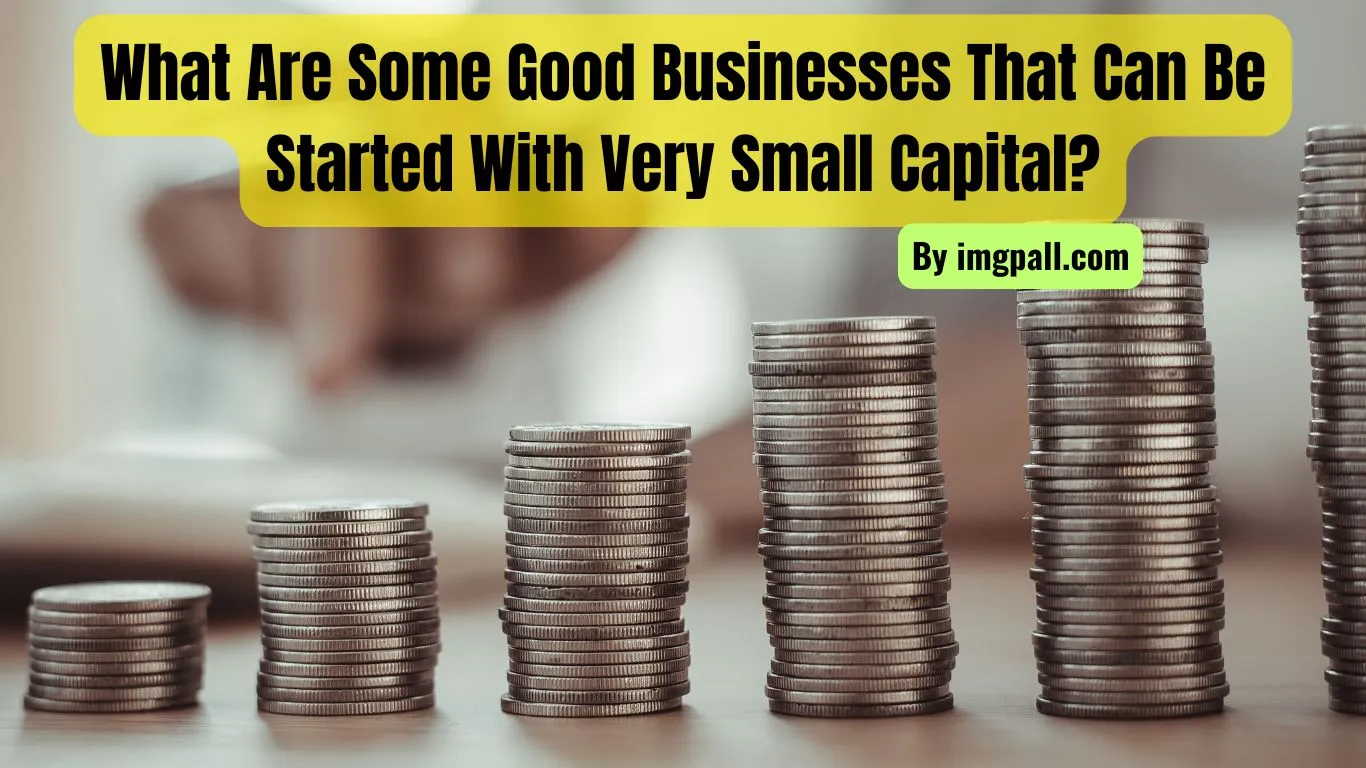 What Are Some Good Businesses That Can Be Started With Very Small Capital?